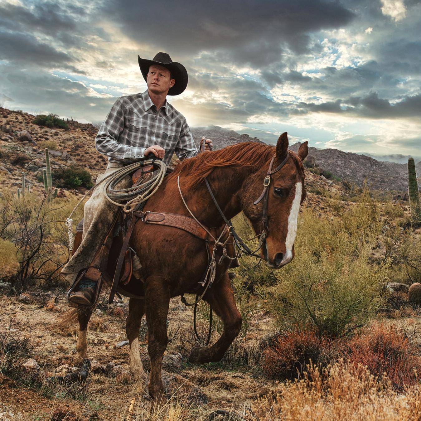 Men Western Shirts | Stetson Dobby Twill Plaid Shirt Brown